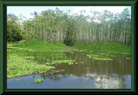 Bild 2: laguna de Yarina