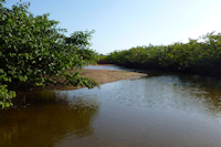 Pic. 1: rio do Santa Inácio