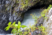 foto 3: río Verde - nahe El Pailon del Diablo