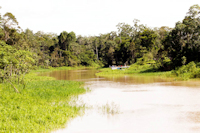 foto 1: rio Carapanatuba