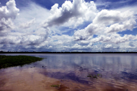 Bild 3: rio Carapanatuba