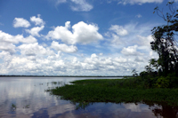 Pic. 4: rio Carapanatuba
