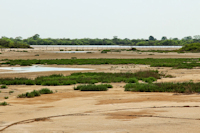 foto 1: riacho Yacaré Sur