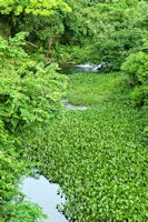 Bild 1: río Tagatijami