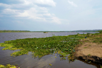 Bild 1: laguna Sucuará