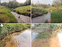 Pic. 1: rio Mouro