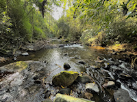 foto 1: rio Capivari - rio Capivari bei Itamonte