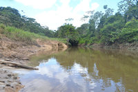 foto 1: quebrada Pintuyacu