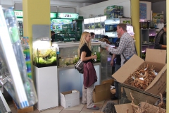 21. Wels-Fantreffen