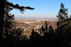 Alteburg - Königstuhl - Blick auf Arnstadt