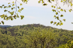 Blick zu Burg Liebenstein