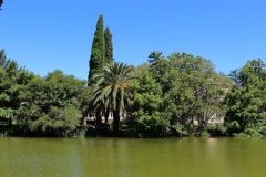 Lago del Bosque