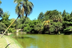 Lago del Bosque