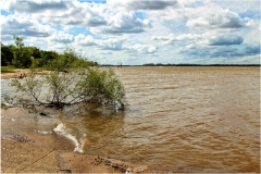 Río Uruguay