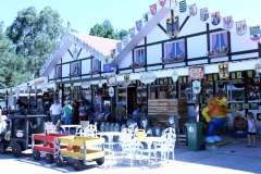La Alemana