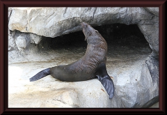 Im Zoo von Buenos Aires