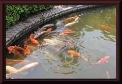 Im Zoo von Buenos Aires