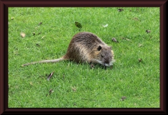 Im Zoo von Buenos Aires