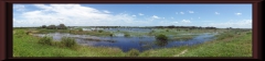Im Río Paraná-Delta