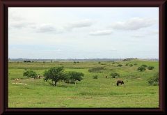 Paraná-Vordelta zwischen Victoria und Rosario