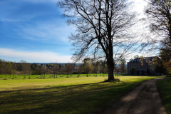 Schlosspark Bendeleben