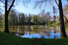 Schlosspark Bendeleben