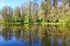 Schlosspark Bendeleben