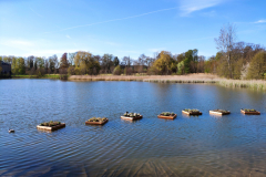 Schlosspark Bendeleben