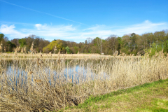 Schlosspark Bendeleben