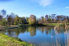 Schlosspark Bendeleben