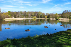 Schlosspark Bendeleben