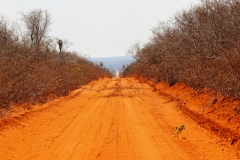 bolivien-05310