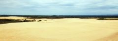 Santa Cruz - Lomas