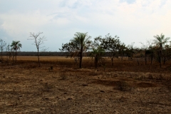 Laguna Letei (ausgetrocknet)