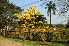 bolivien-01105
