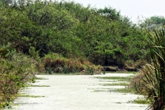 Kanal bei El Tinto