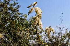 bolivien-03214