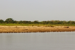 Río Mamoré