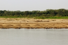 Río Mamoré
