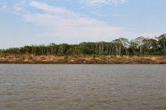 Río Mamoré