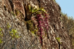 bolivien-03312