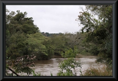 Noch friedlich - der Rio Iguazu