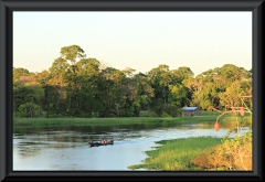 Nahe Lago Janauacá