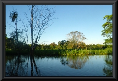 Nahe Lago Janauacá