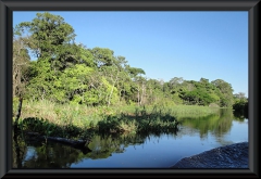 Nahe Lago Janauacá