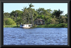 Nahe Lago Janauacá