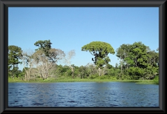 Nahe Lago Janauacá