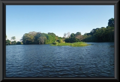 Nahe Lago Janauacá