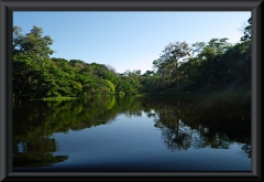 Nahe Lago Janauacá