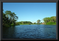 Nahe Lago Janauacá